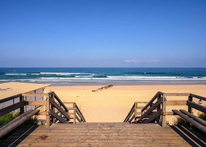 La Cabane De La Dune ~ Au Bord De L\'Ocean